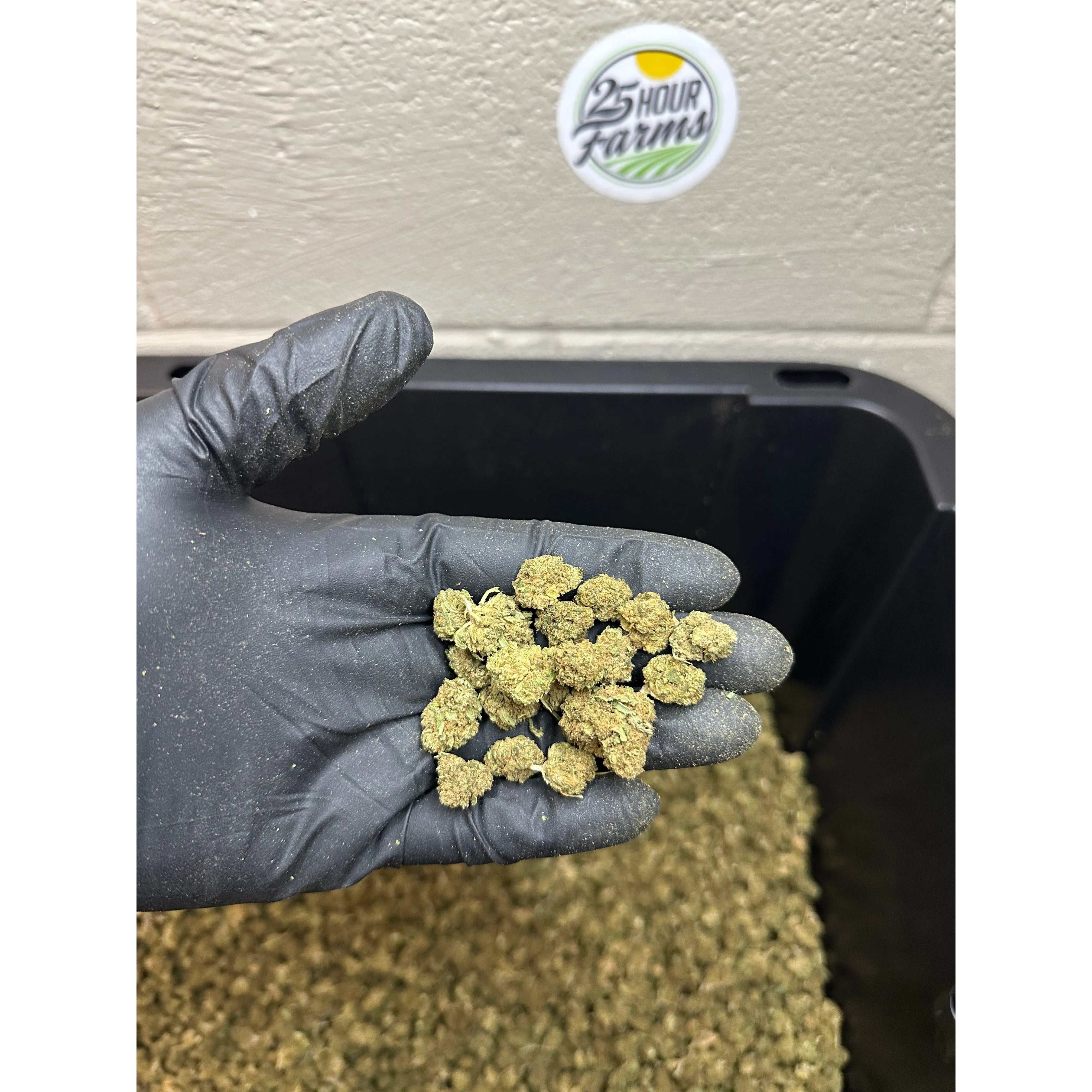Kush Mintz Hemp Flower Smalls